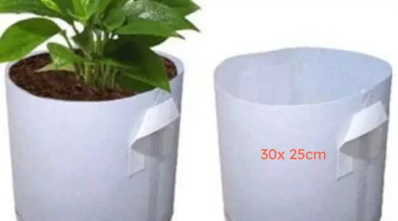 Vải Địa Trồng Cây - Giải Pháp Xanh Cho Nông Nghiệp và Đô Thị