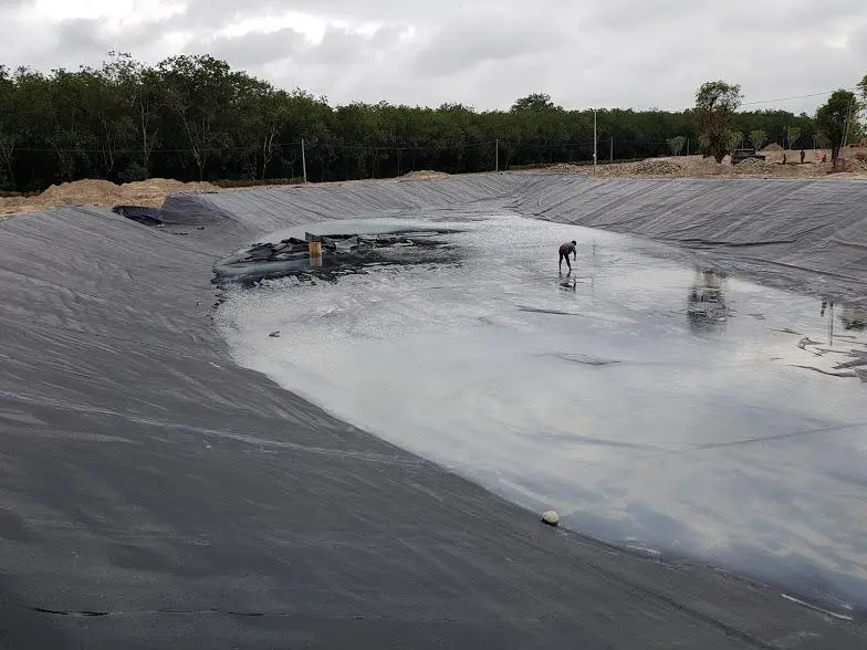Bạt HDPE Là Gì - Giải Pháp Vàng Cho Nông Nghiệp  Xây Dựng Bền Vững