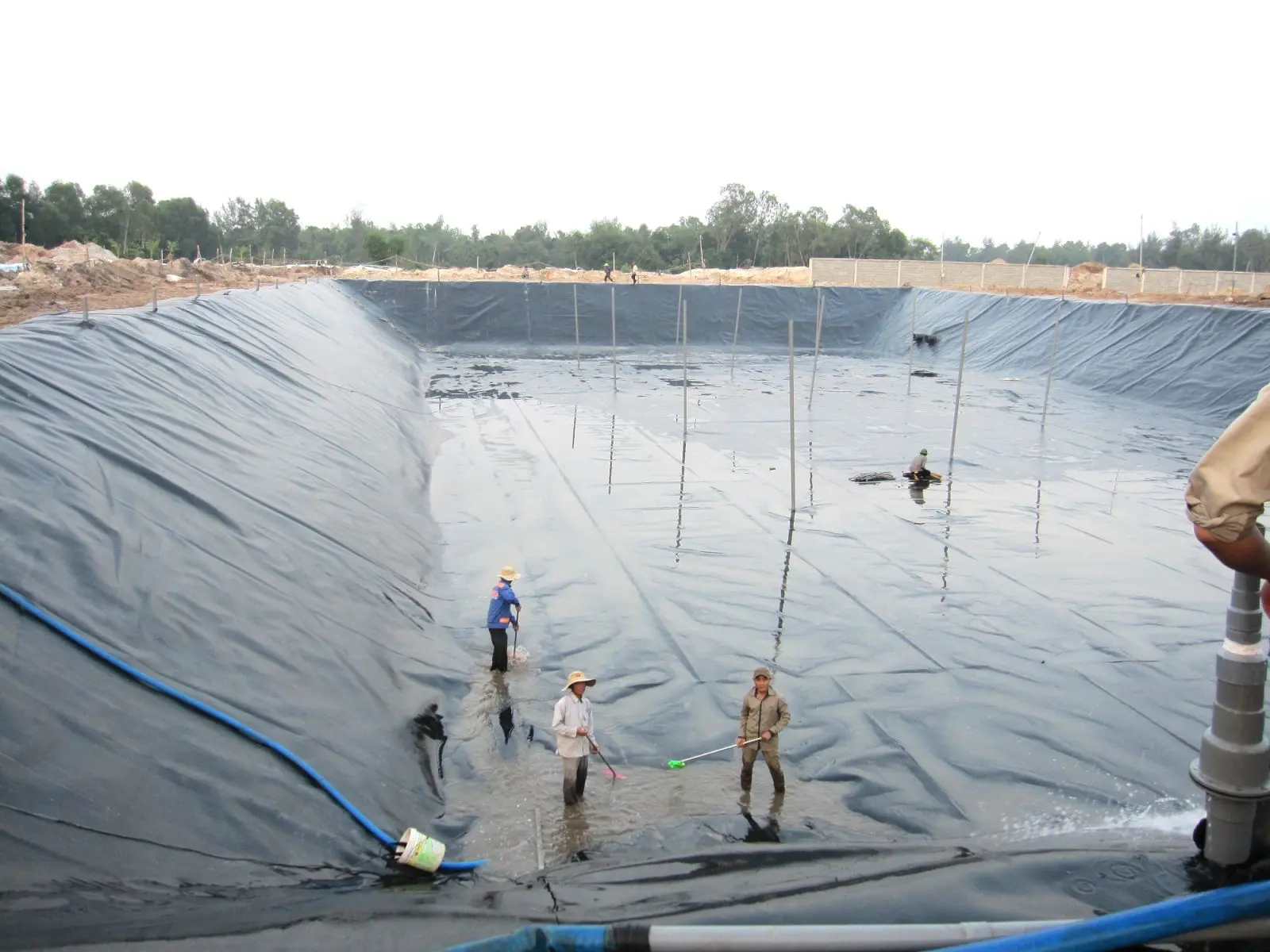 Bạt HDPE Là Gì - Giải Pháp Vàng Cho Nông Nghiệp  Xây Dựng Bền Vững