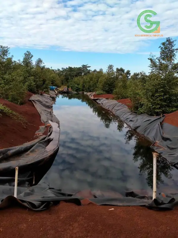 Bạt HDPE Khổ 10m - Giải Pháp Vượt Trội Cho Mọi Ngành 17 Bạt HDPE Khổ 10m - Giải Pháp Vượt Trội Cho Mọi Ngành