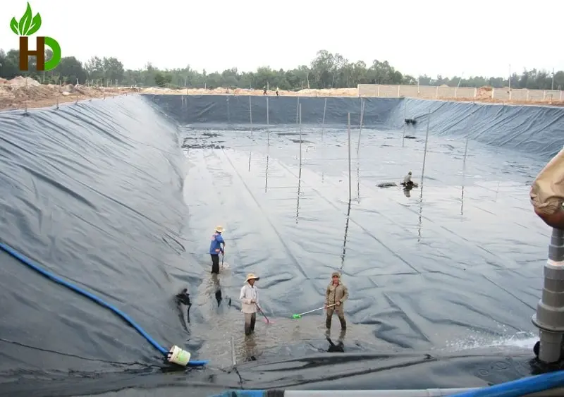 Bạt HDPE Khổ 10m - Giải Pháp Vượt Trội Cho Mọi Ngành 19 Bạt HDPE Khổ 10m - Giải Pháp Vượt Trội Cho Mọi Ngành