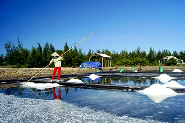 Bạt Lót Ruộng Muối - Giải Pháp Vàng Cho Ngành Muối Việt 22 Bạt Lót Ruộng Muối - Giải Pháp Vàng Cho Ngành Muối Việt