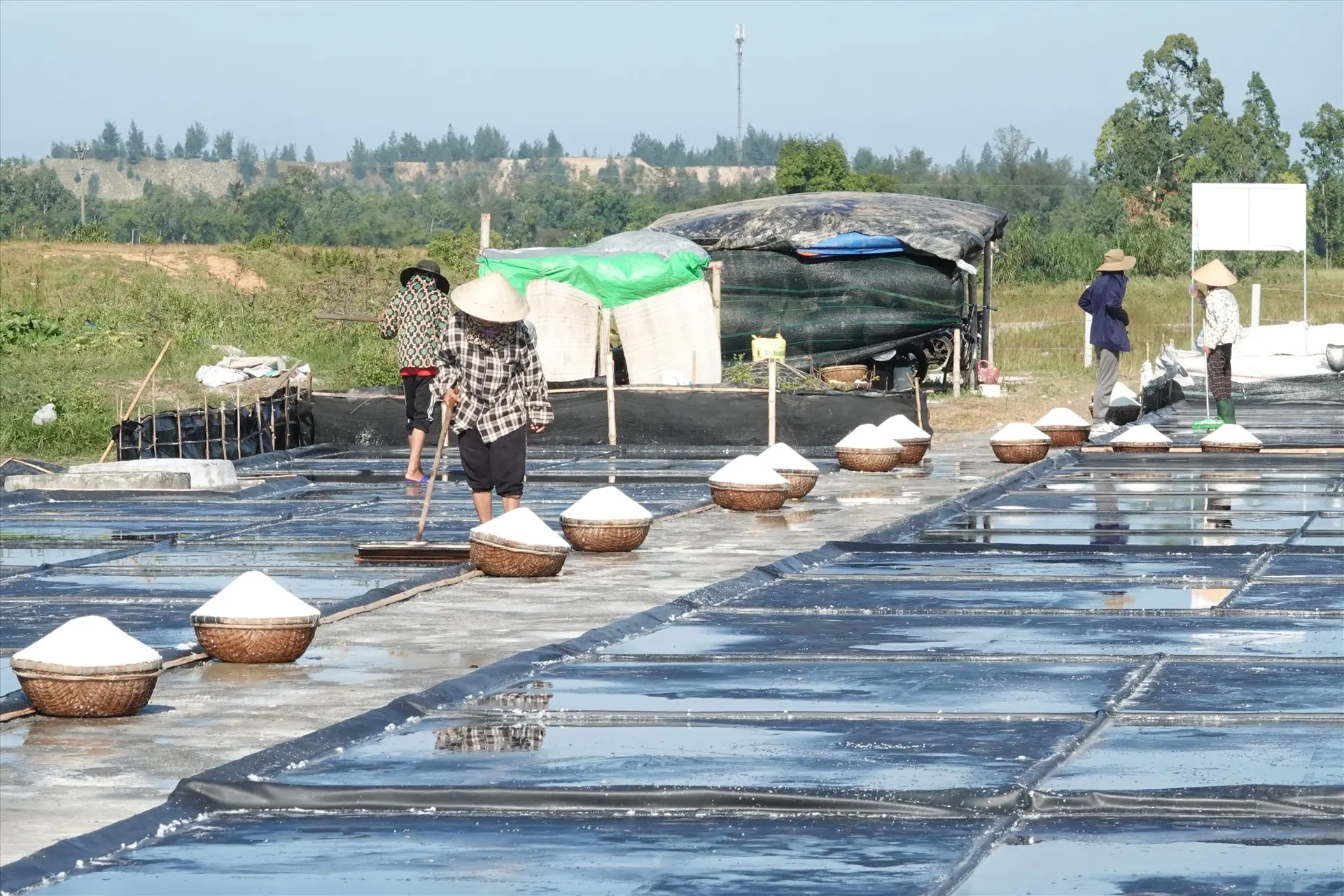 Bạt Lót Ruộng Muối - Giải Pháp Vàng Cho Ngành Muối Việt 16 Bạt Lót Ruộng Muối - Giải Pháp Vàng Cho Ngành Muối Việt