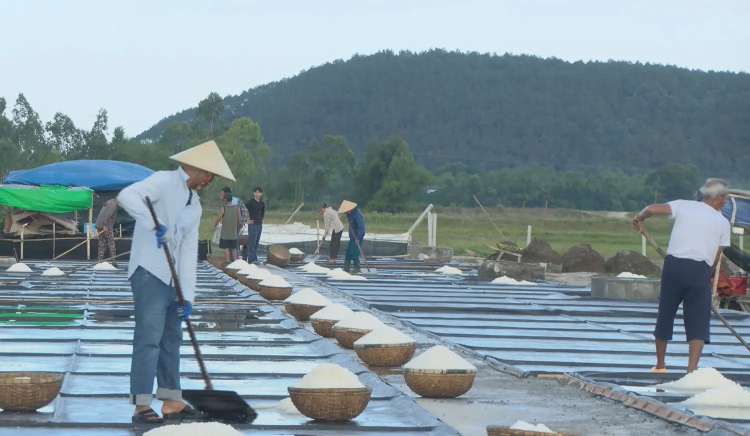 Bạt Lót Ruộng Muối - Giải Pháp Vàng Cho Ngành Muối Việt 17 Bạt Lót Ruộng Muối - Giải Pháp Vàng Cho Ngành Muối Việt