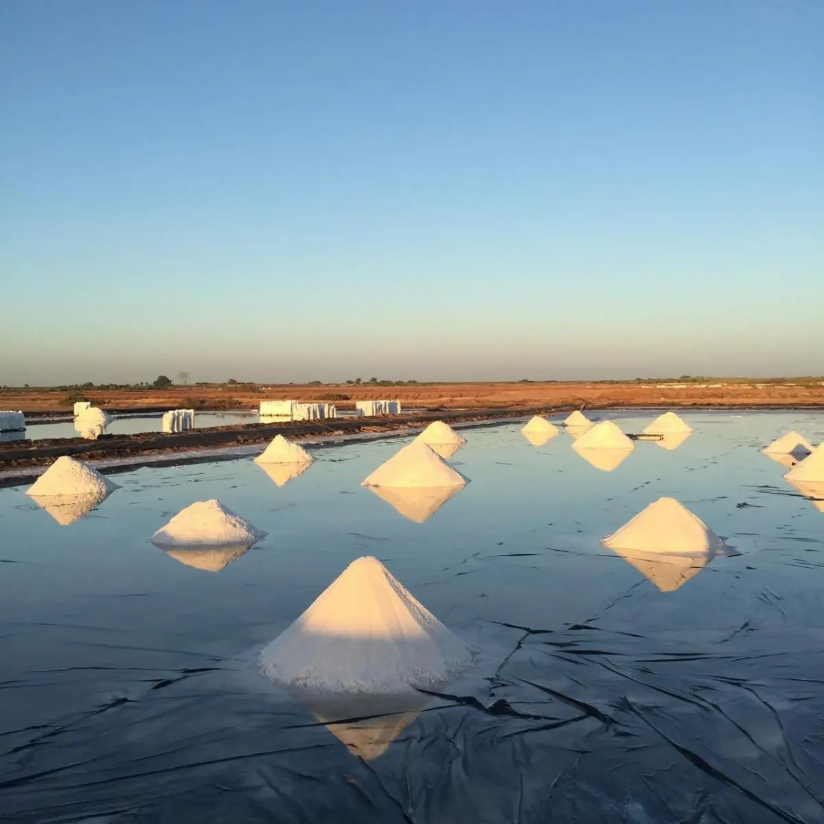 Bạt Lót Ruộng Muối - Giải Pháp Vàng Cho Ngành Muối Việt 19 Bạt Lót Ruộng Muối - Giải Pháp Vàng Cho Ngành Muối Việt