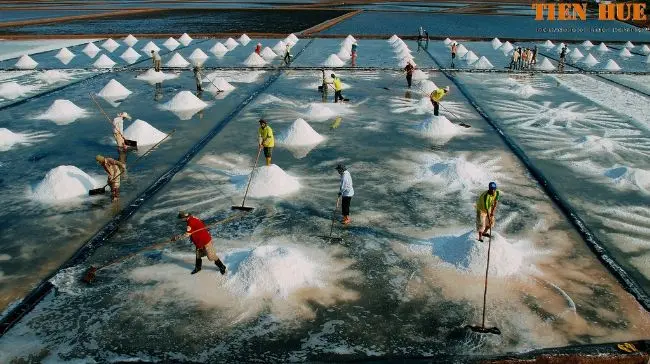 Bạt Lót Ruộng Muối - Giải Pháp Vàng Cho Ngành Muối Việt 21 Bạt Lót Ruộng Muối - Giải Pháp Vàng Cho Ngành Muối Việt