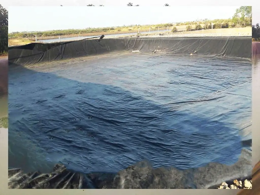 Bạt Nhựa Chứa Nước - Giải Pháp Vàng Cho Nông Nghiệp Bền Vững