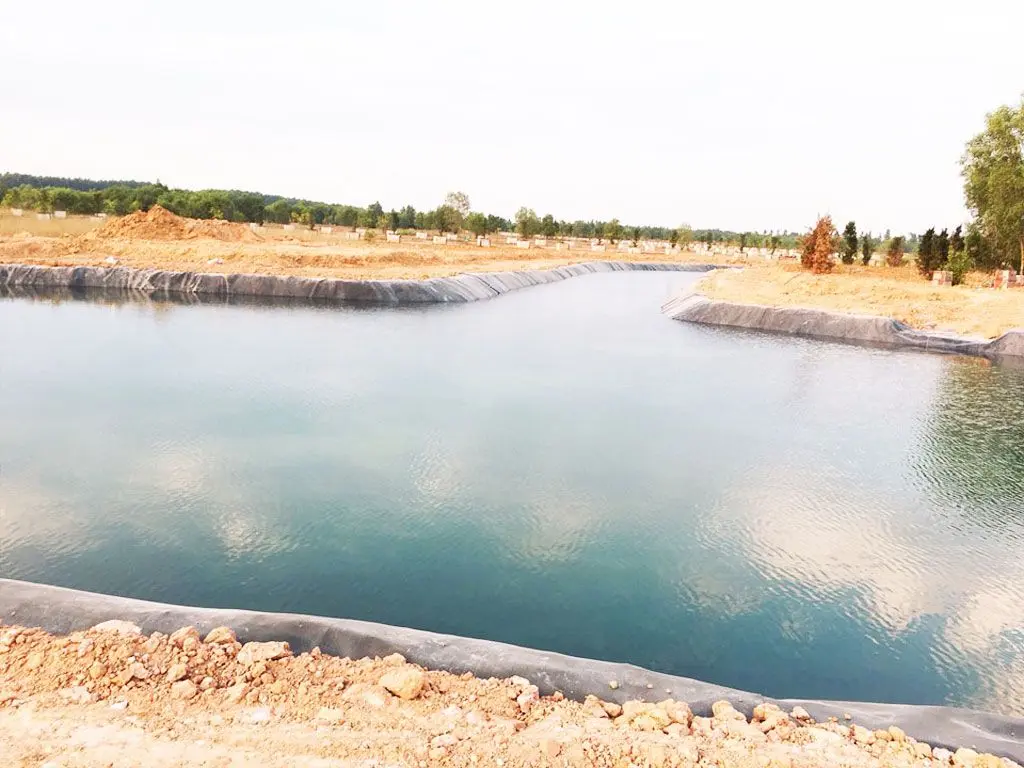 Bạt Nhựa Chứa Nước - Giải Pháp Vàng Cho Nông Nghiệp Bền Vững