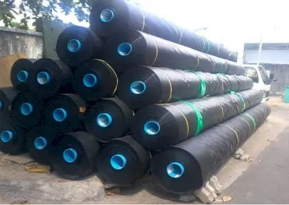 Màng HDPE- Giải Pháp Chống Thấm Vượt Trội Cho Mọi Công Trình