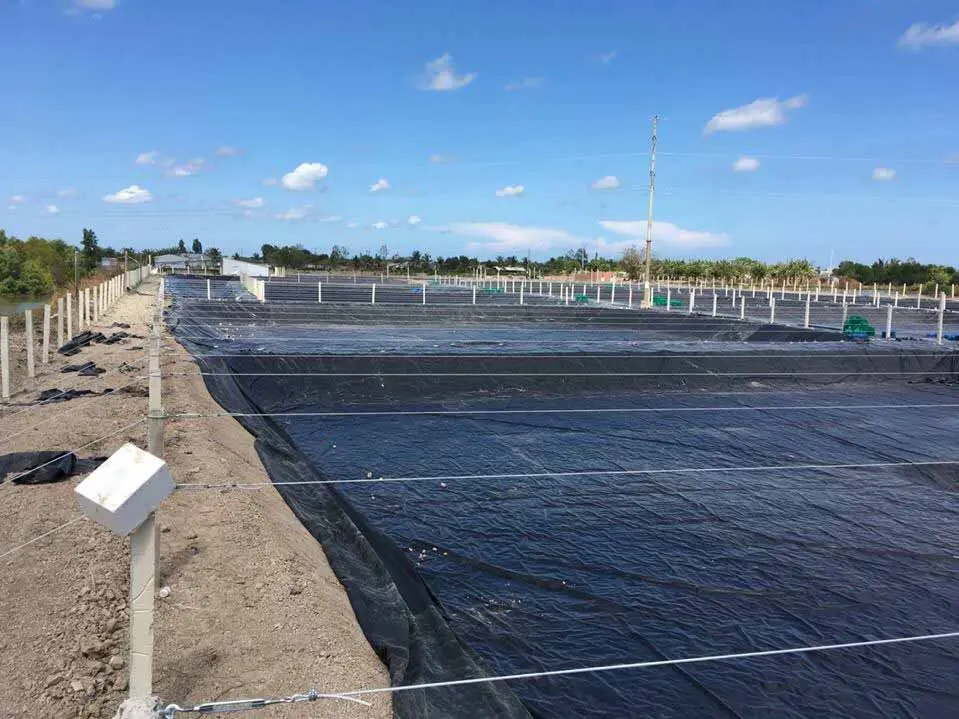 Bạt HDPE - Giải Pháp Chống Thấm Vượt Trội Cho Mọi Công Trình