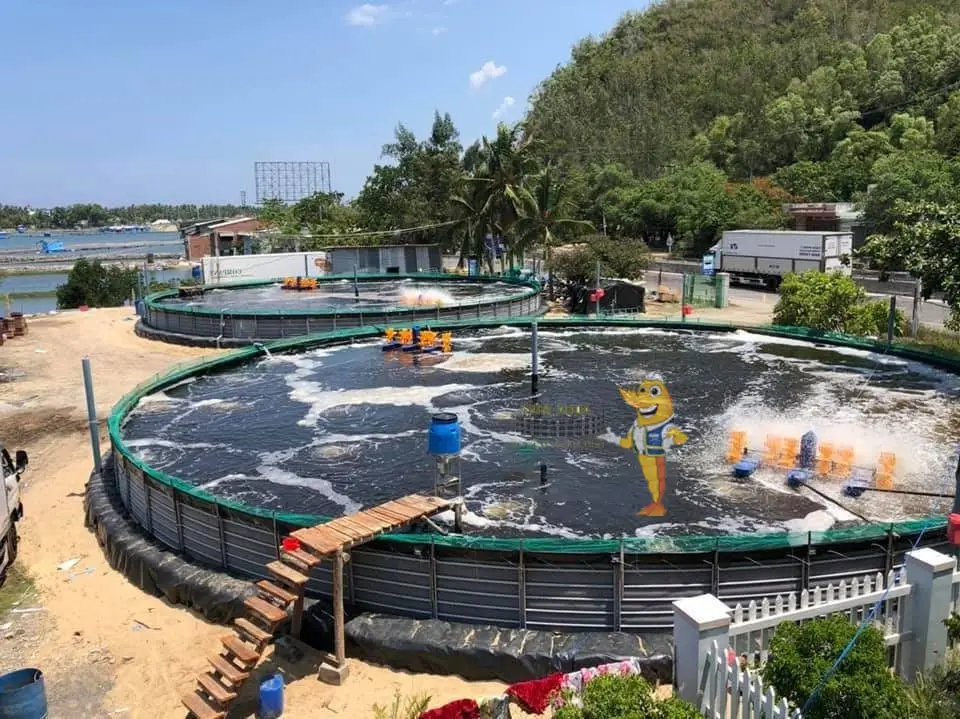 Bạt HDPE - Bí Quyết Nuôi Trồng Thủy Sản Hiệu Quả