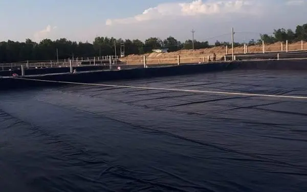 Bạt HDPE - Bí Quyết Nuôi Trồng Thủy Sản Hiệu Quả