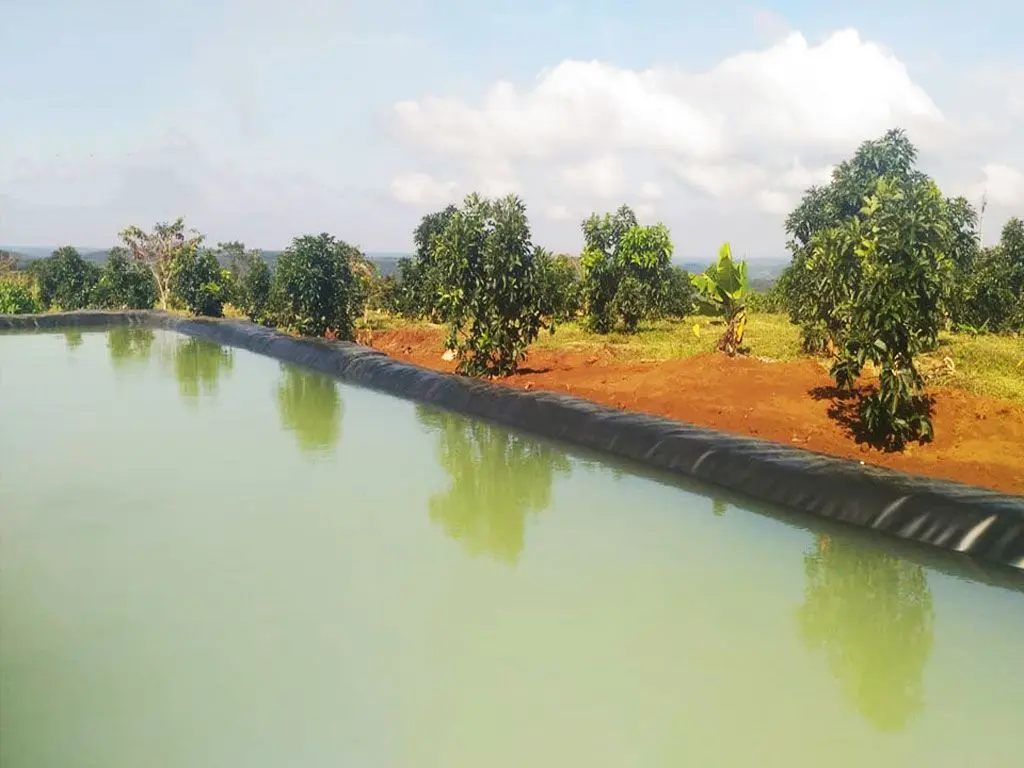 Bạt HDPE - Bí Quyết Nuôi Trồng Thủy Sản Hiệu Quả