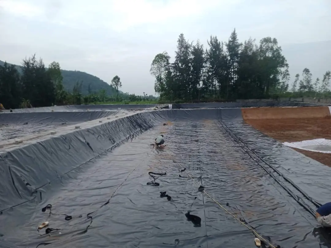 Bạt HDPE Dày 1mm - Giải Pháp Vàng Cho Mọi Công Trình