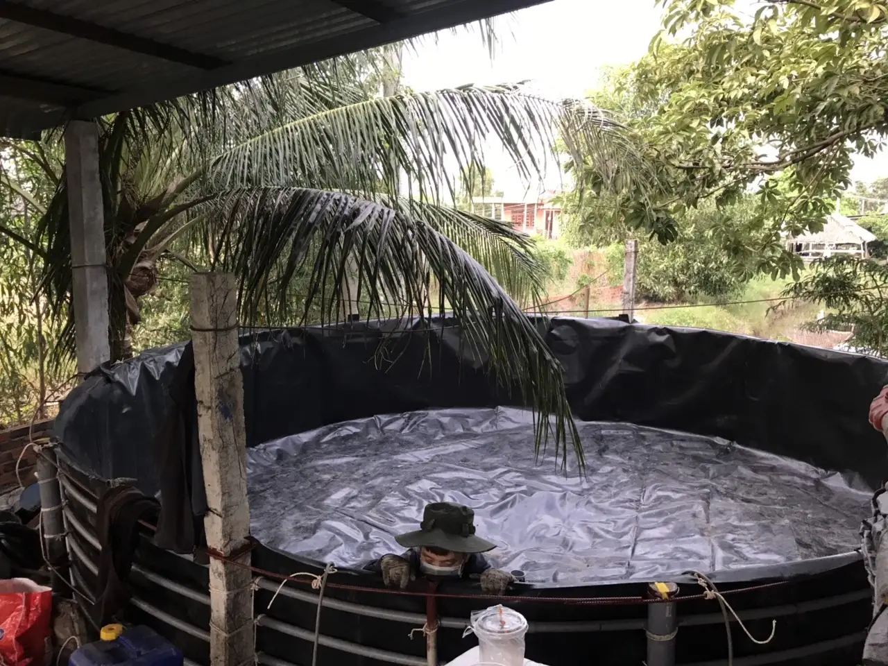 Bạt HDPE Nuôi Cá - Giải Pháp Vàng Cho Ngành Thủy Sản Hiện Đại 15 Bạt HDPE Nuôi Cá - Giải Pháp Vàng Cho Ngành Thủy Sản Hiện Đại