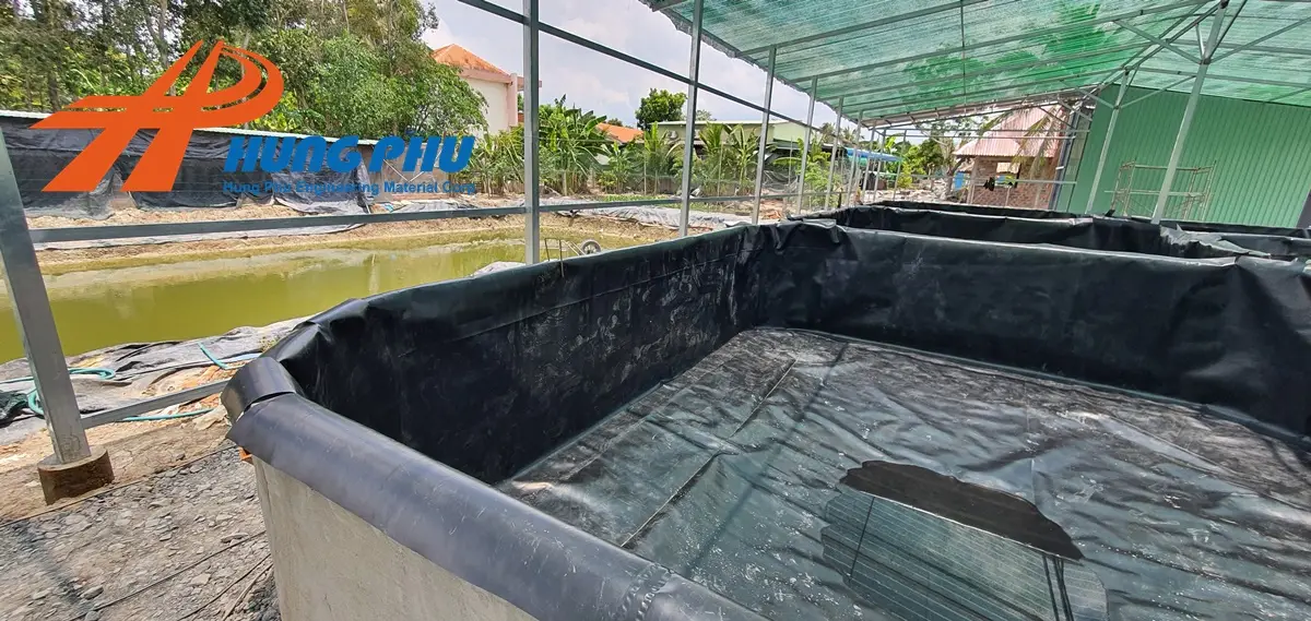 Bạt HDPE Nuôi Cá - Giải Pháp Vàng Cho Ngành Thủy Sản Hiện Đại 18 Bạt HDPE Nuôi Cá - Giải Pháp Vàng Cho Ngành Thủy Sản Hiện Đại