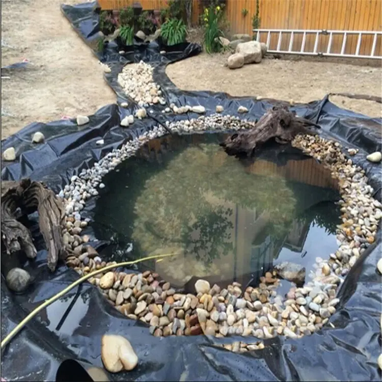 Bạt HDPE Nuôi Cá - Giải Pháp Vàng Cho Ngành Thủy Sản Hiện Đại 14 Bạt HDPE Nuôi Cá - Giải Pháp Vàng Cho Ngành Thủy Sản Hiện Đại