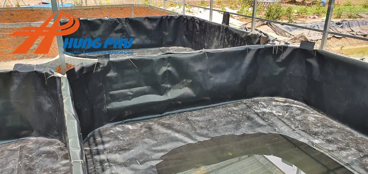 Bạt HDPE Lót Hồ - Giải Pháp Vàng Cho Nuôi Trồng Thủy Sản Bền Vững