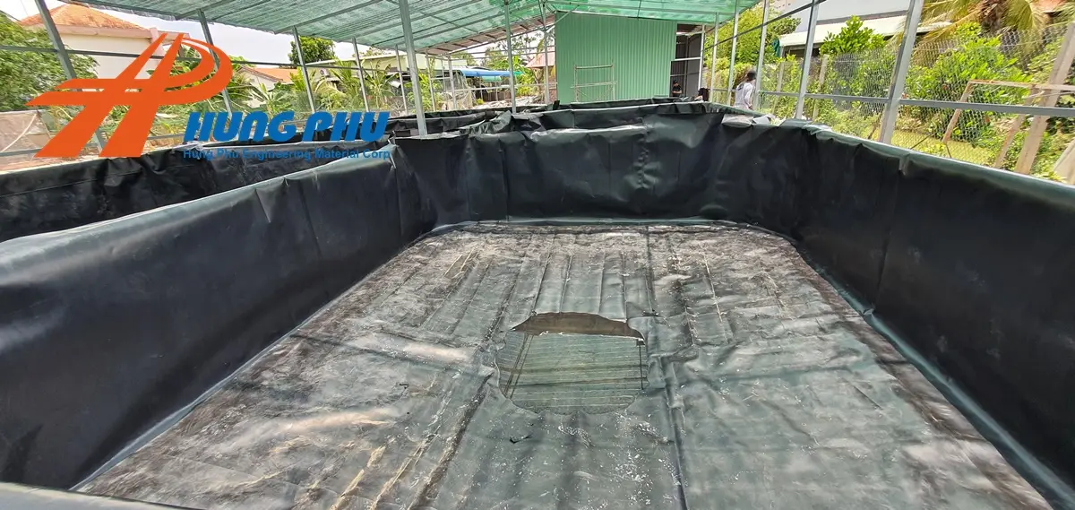 Bạt HDPE Lót Hồ - Giải Pháp Vàng Cho Nuôi Trồng Thủy Sản Bền Vững