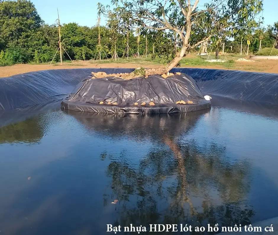 Bạt HDPE Lót Hồ - Giải Pháp Vàng Cho Nuôi Trồng Thủy Sản Bền Vững