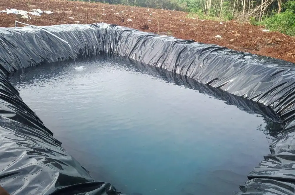 Bạt HDPE Lót Hồ - Giải Pháp Vàng Cho Nuôi Trồng Thủy Sản Bền Vững