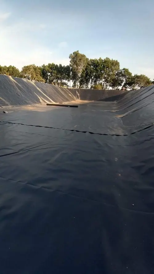 Bạt HDPE Lót Hồ - Giải Pháp Vàng Cho Nuôi Trồng Thủy Sản Bền Vững