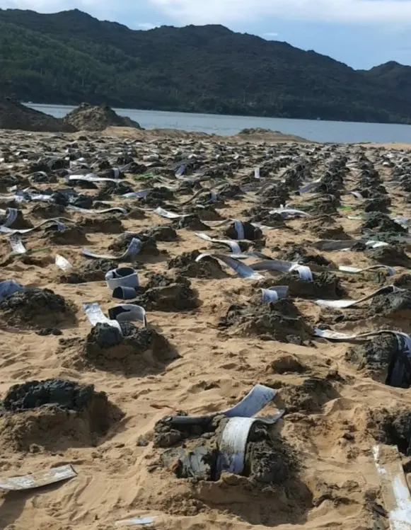 Bấc Thấm Ngang - Giải Pháp Nền Móng Thời Hiện Đại