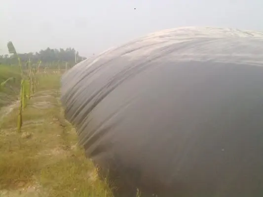 Giá Hầm Biogas HDPE - Giải Pháp Vàng Cho Năng Lượng Tái Tạo