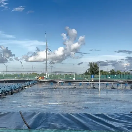 Bạt HDPE Khổ 6m - Giải Pháp Vàng Cho Mọi Công Trình 11 Bạt HDPE Khổ 6m - Giải Pháp Vàng Cho Mọi Công Trình