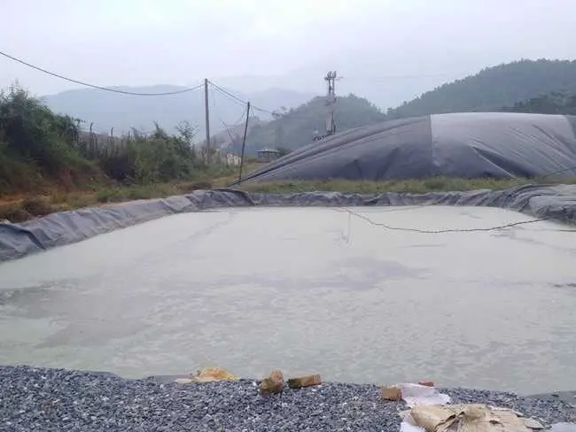 Hệ Thống Xử Lý Nước Thải Chăn Nuôi - Bước Ngoặt Cho Nông Nghiệp Bền Vững