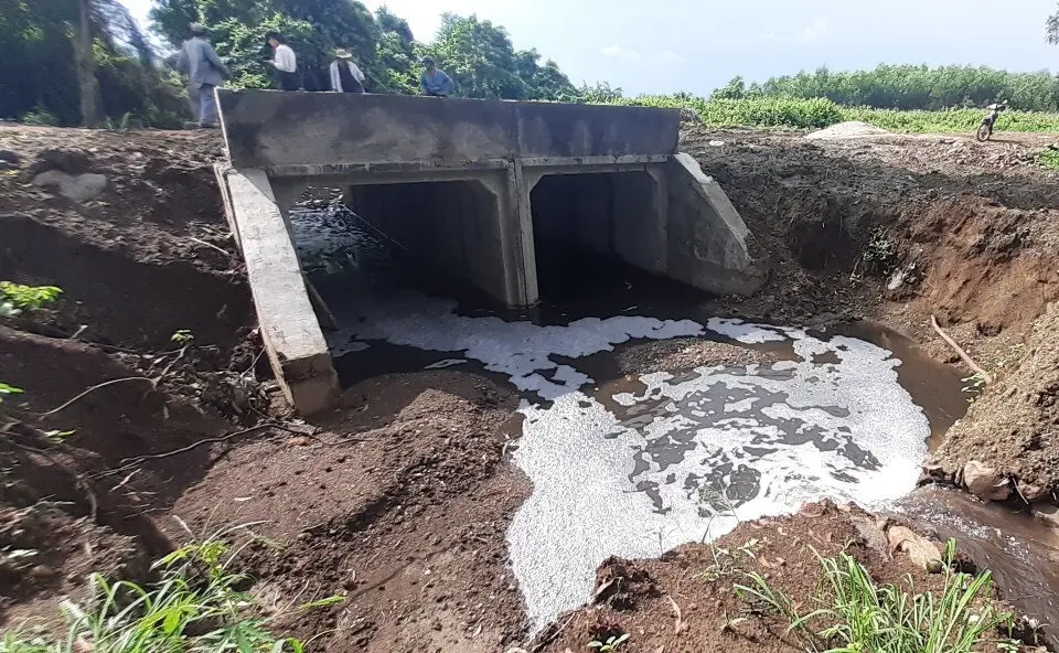 Hệ Thống Xử Lý Nước Thải Chăn Nuôi - Bước Ngoặt Cho Nông Nghiệp Bền Vững