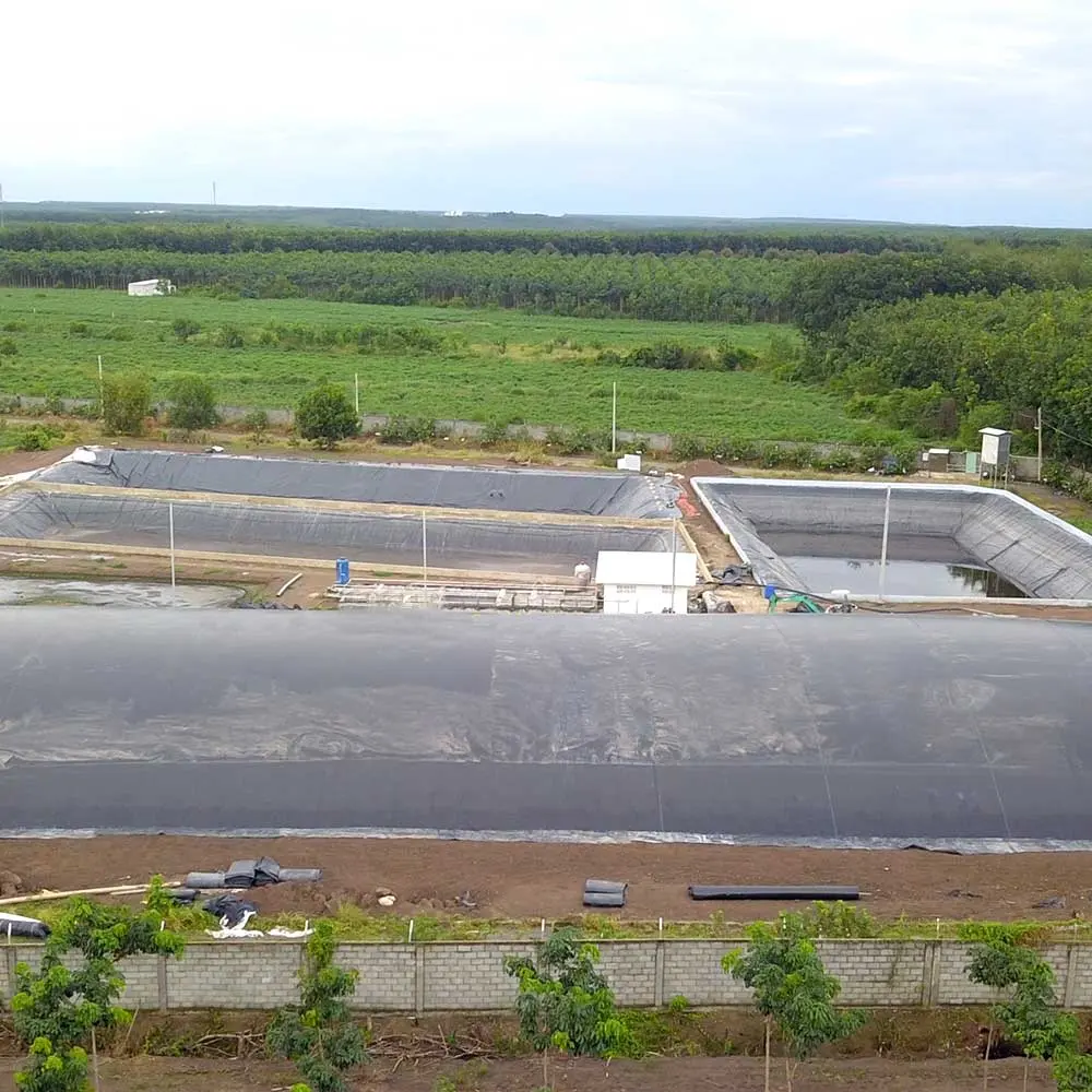 Hệ Thống Xử Lý Nước Thải Chăn Nuôi - Bước Ngoặt Cho Nông Nghiệp Bền Vững