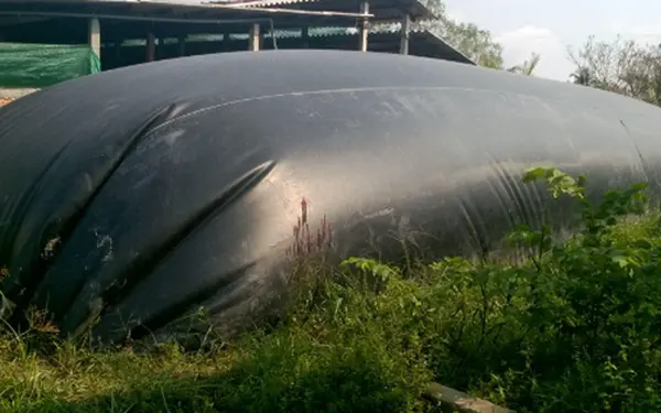Chi Phí Làm Hầm Biogas - Giải Pháp Năng Lượng Xanh và Tiết Kiệm