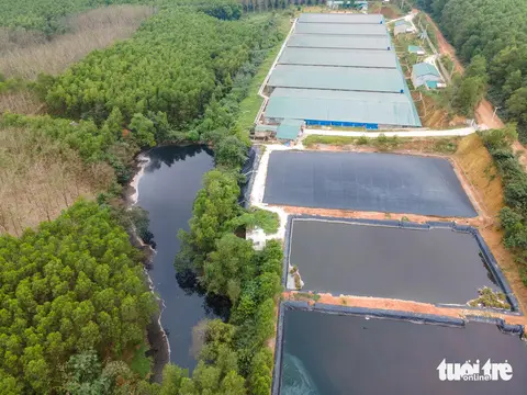 Xử Lý Nước Thải Trại Heo - Hành Động Vì Môi Trường Xanh  Cộng Đồng Khỏe