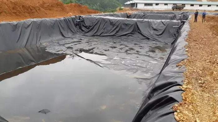 Xử Lý Nước Thải Trại Heo - Hành Động Vì Môi Trường Xanh  Cộng Đồng Khỏe