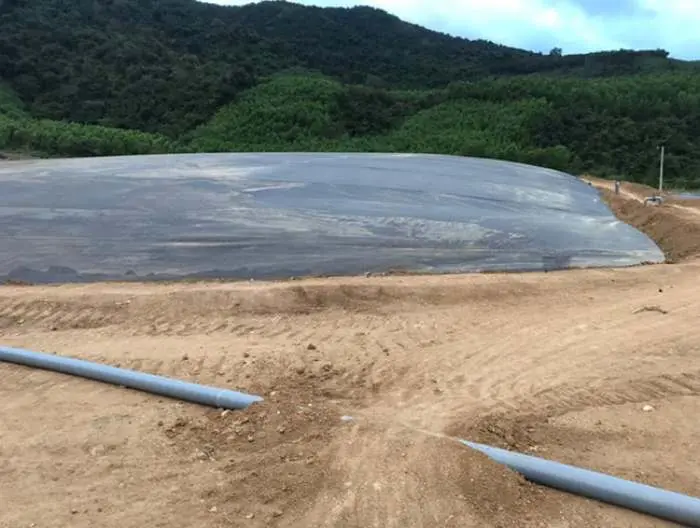 Xử Lý Nước Thải Trại Heo - Hành Động Vì Môi Trường Xanh  Cộng Đồng Khỏe