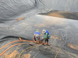 Xử Lý Nước Thải Trại Heo - Hành Động Vì Môi Trường Xanh  Cộng Đồng Khỏe