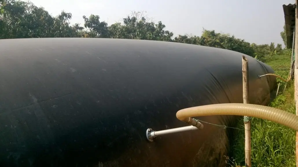 Bể Biogas - Năng Lượng Xanh - Tương Lai Bền Vững Trong Chăn Nuôi