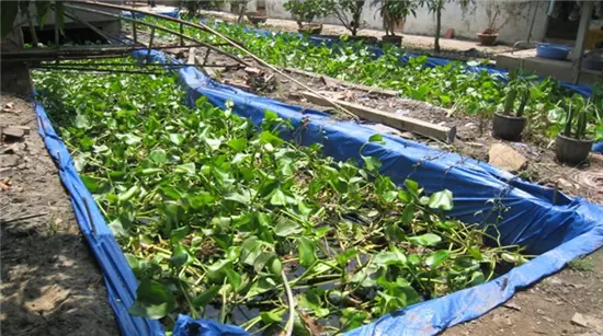 Quy chuẩn 62 về nước thải chăn nuôi - Bước ngoặt cho tương lai xanh