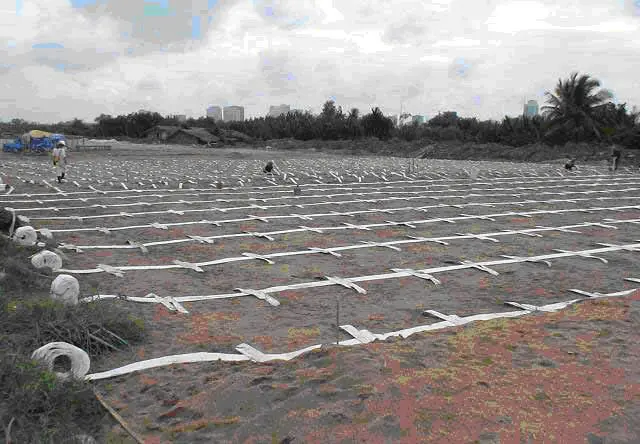 TCVN 93552012 – Bấc Thấm Cứu Tinh - Nền Móng Vững Chắc Cho Công Trình Việt