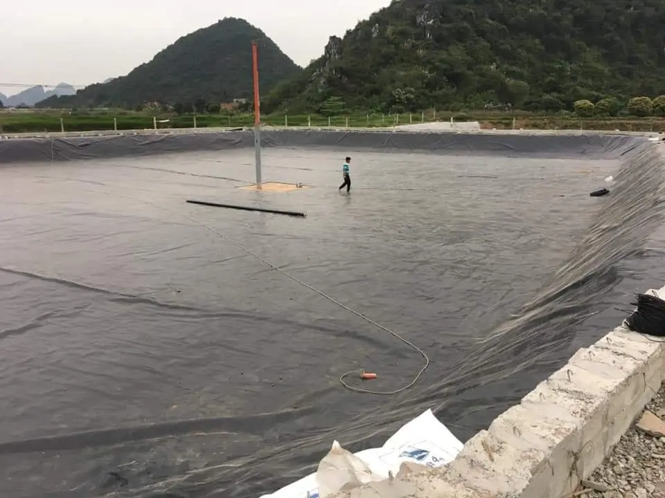 TCVN Màng Chống Thấm HDPE - Bảo Vệ Công Trình, Vững Bền Tương Lai