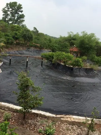 Màng HDPE 0.5mm - Giải Pháp Đa Năng Cho Mọi Công Trình
