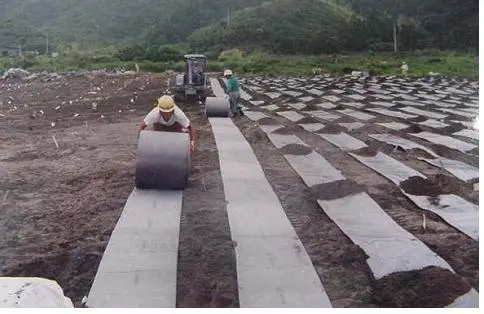 Bấc Thấm San Nền - Giải Pháp Vàng Cho Nền Móng Công Trình Hiện Đại