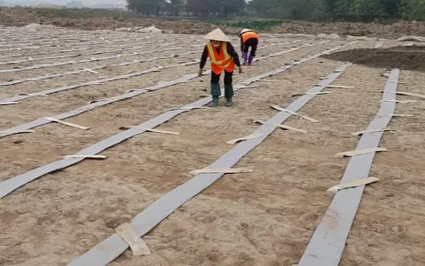 Bấc Thấm Thi Công - Giải Pháp Nền Tảng Cho Công Trình Vững Chãi