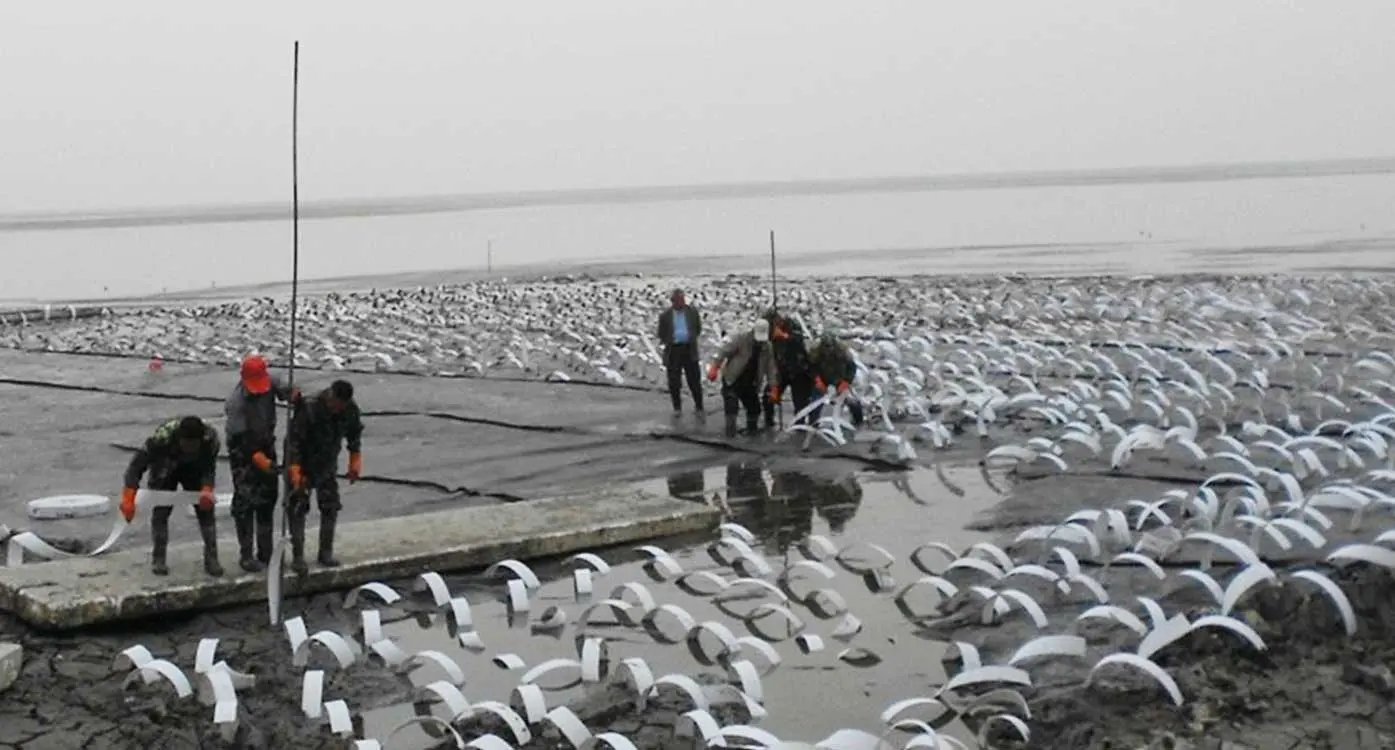 Bấc Thấm Hoàn Hảo - Chìa Khóa Vàng Tiêu Chuẩn Cho Nền Móng Vững Chãi