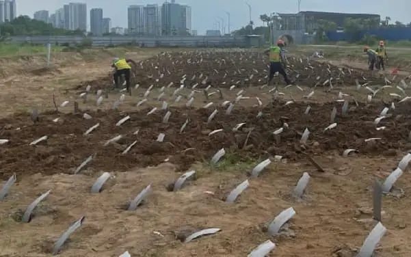 Thí Nghiệm Bấc Thấm - Bí Mật Dòng Chảy Trong Lòng Đất