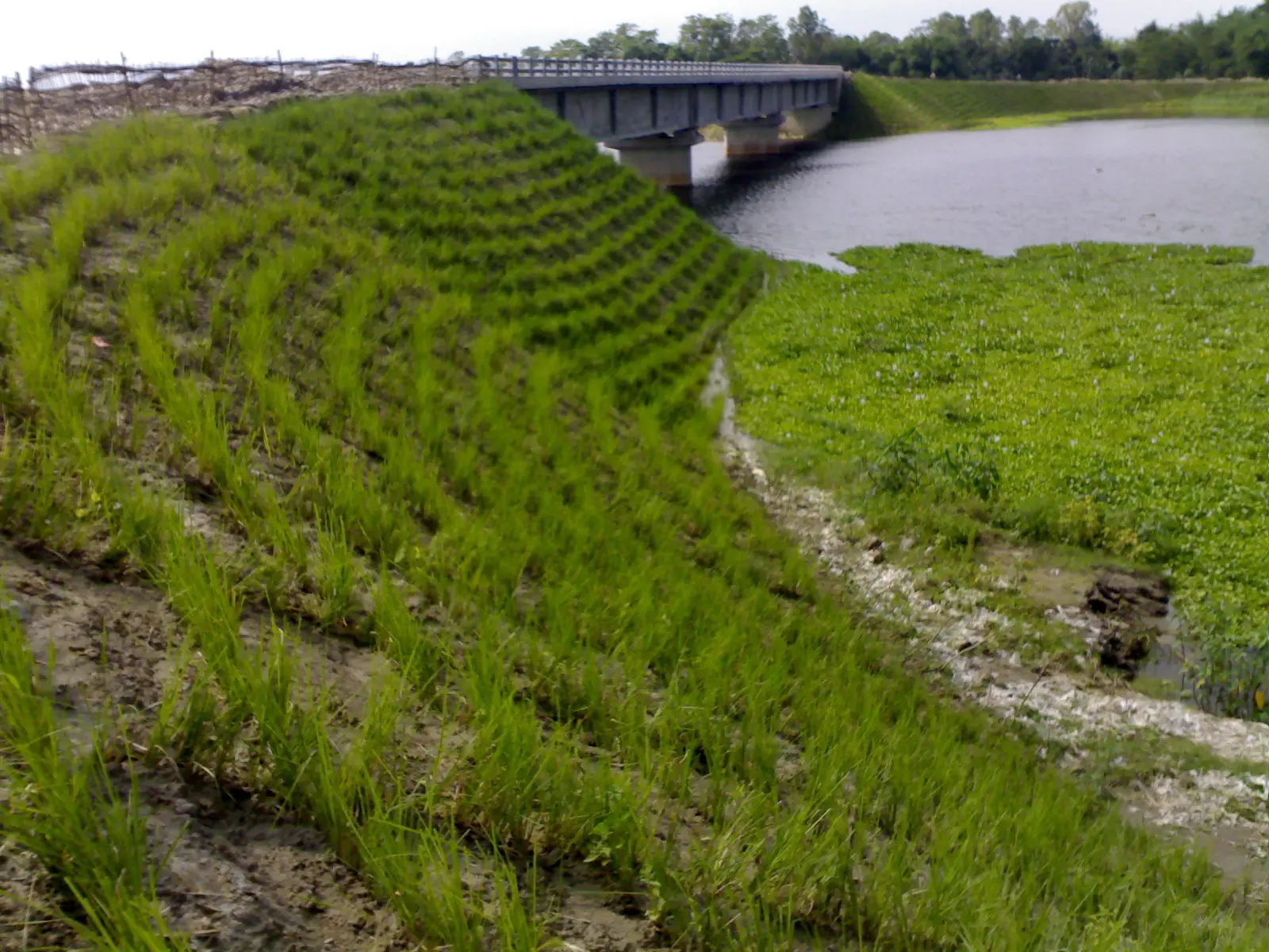 Tính bền vững trong Kỹ thuật Địa kỹ thuật - Giải pháp cho Tương lai