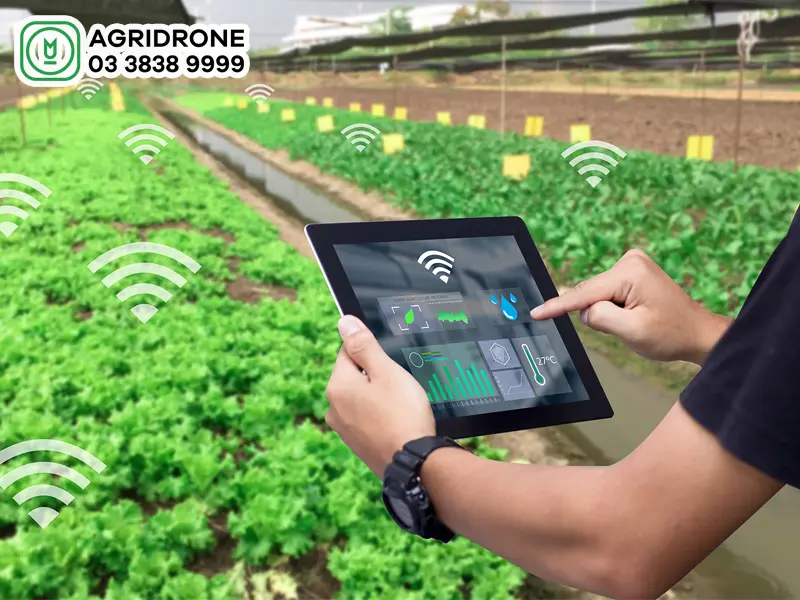 Mô hình vật lý trong Địa kỹ thuật - Bước đột phá cho nền móng tương lai