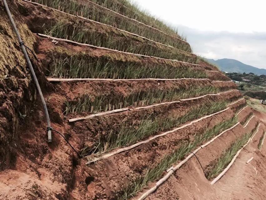 Xói mòn - Hiểm họa thầm lặng - Giải pháp bền vững cho hạ tầng