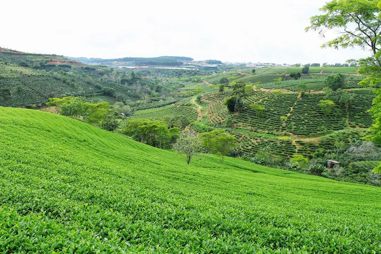 Xói mòn - Hiểm họa thầm lặng - Giải pháp bền vững cho hạ tầng